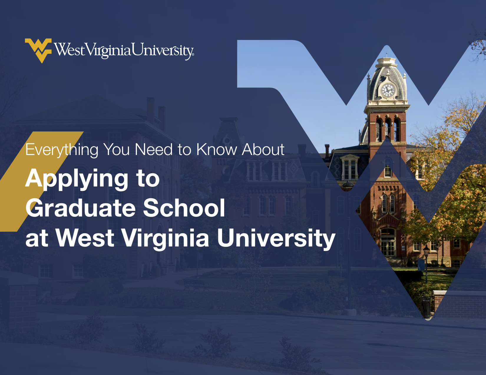 Download Everything You Need To Know About Applying To Graduate School ...